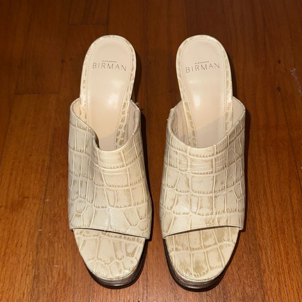 Alexander Birman platforms